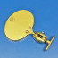 Polished Brass