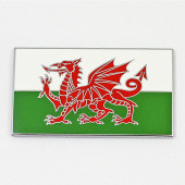 WALESSA: Welsh flag - 50mm self adhesive enamelled badge from £10.16 each